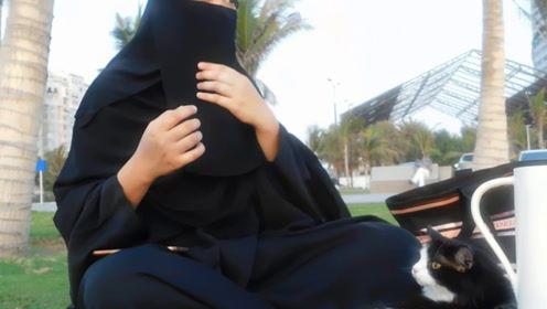 娱乐吃瓜君原创